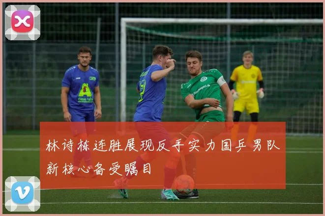 林诗栋连胜展现反手实力国乒男队新核心备受瞩目